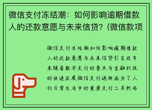 微信支付冻结潮：如何影响逾期借款人的还款意愿与未来信贷？(微信款项被冻结)