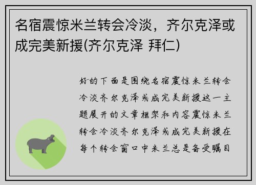 名宿震惊米兰转会冷淡，齐尔克泽或成完美新援(齐尔克泽 拜仁)